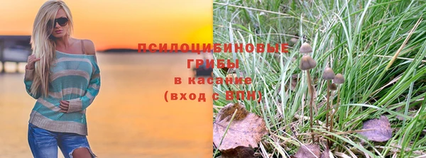 ALPHA PVP Алзамай
