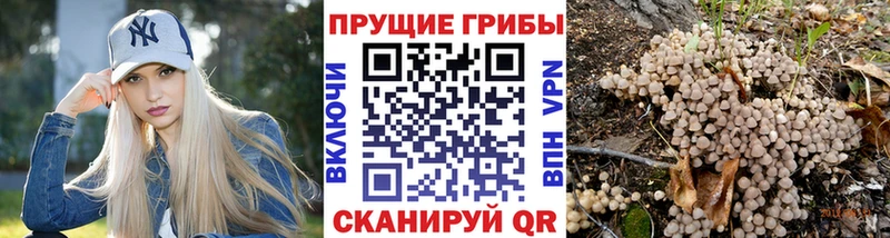Галлюциногенные грибы мухоморы  blacksprut зеркало  Лобня 