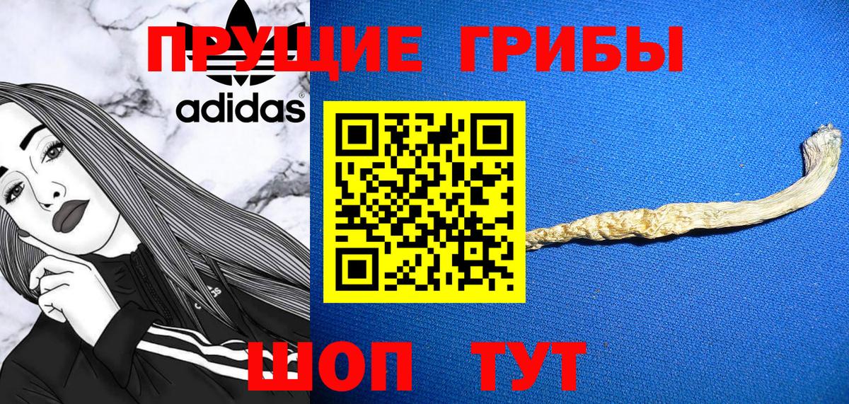 Лобня  магазин    Вход с VPN  Псилоцибиновые грибы Cubensis 