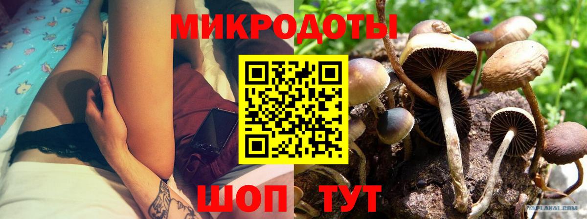 Псилоцибиновые грибы мухоморы Лобня