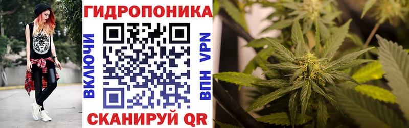 где можно купить наркотик  Лобня  мориарти официальный сайт  Бошки марихуана конопля 
